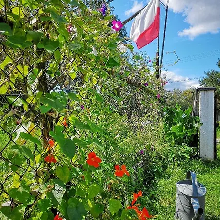 Stajnia Alado * Radgoszcz (Dabrowa)