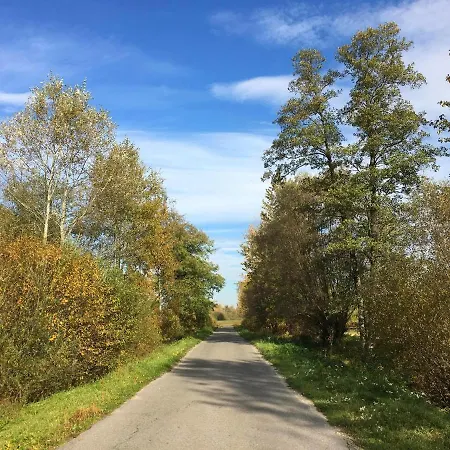 Stajnia Alado * Radgoszcz (Dabrowa)