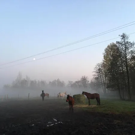 Stajnia Alado Casa rural Radgoszcz (Dabrowa)