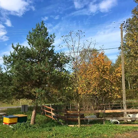 Stajnia Alado Casa rural